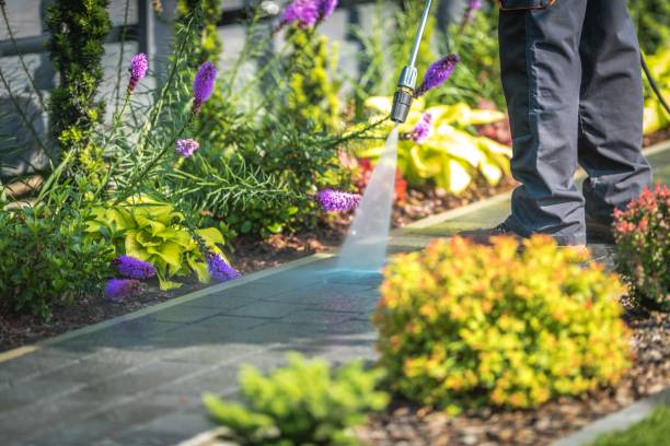 Reliable Gordon, GA Pressure Washing Services Solutions