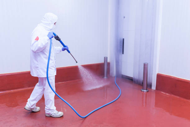 Best Playground Equipment Cleaning  in Gordon, GA